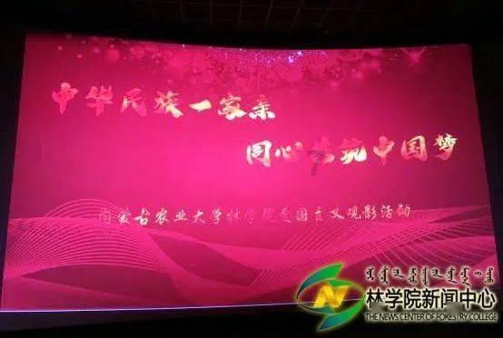 小猫钓鱼游戏龙王版有船